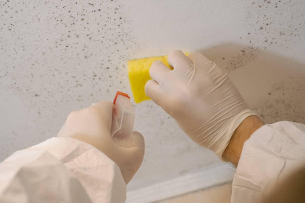 Best Commercial Mold Inspection  in Woodlyn, PA